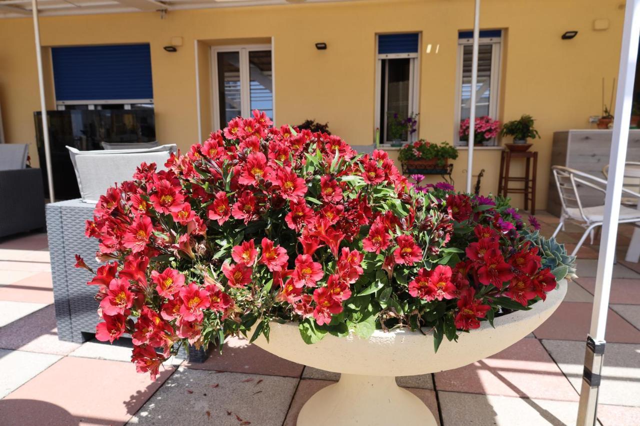 Stella Di Mare Hotel