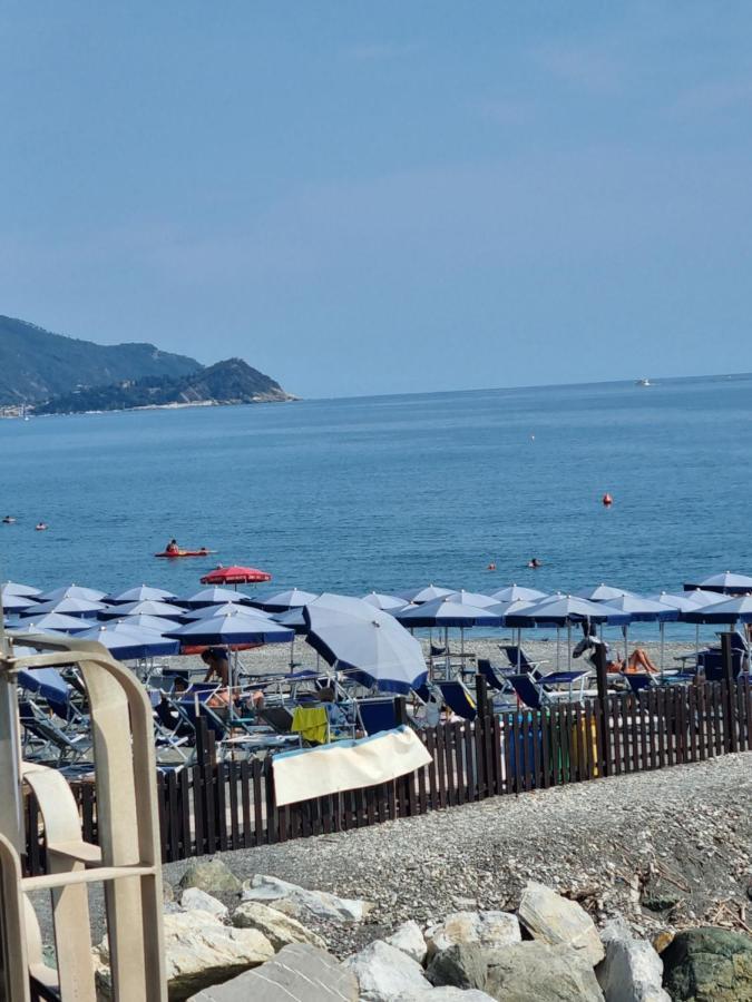 Stella Di Mare
